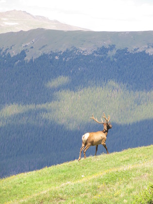 Rocky Mountain National Park