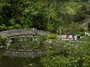 Bridge at Edwards Gardens