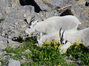 Glacier National Park