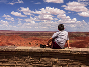 Petrified Forest National Park