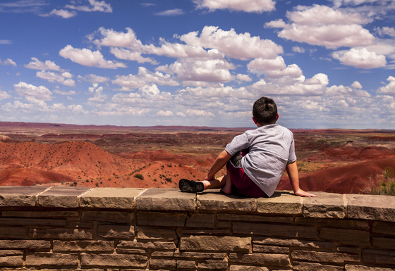 Petrified Forest National Park