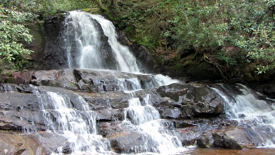 Great Smoky National Park