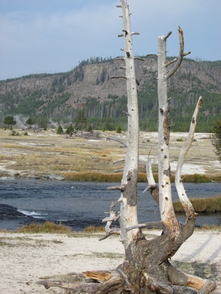 Yellowstone