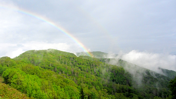Great Smoky National Park