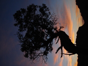 Capital Reef National Park