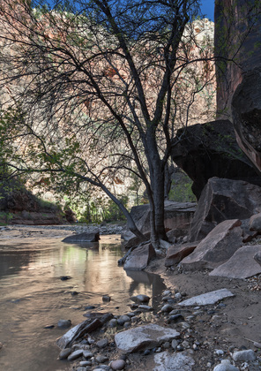 Zion National Park