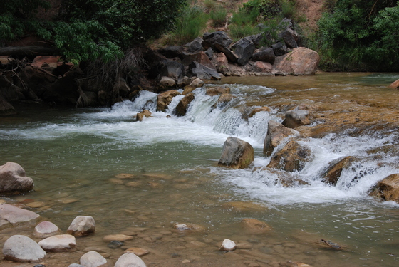 Zion National Park