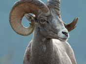 Glacier National Park