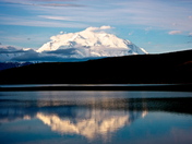 Denali national park