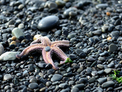 Olympic National Park