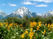 Grand Teton National Park