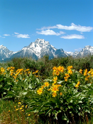 Grand Teton National Park