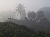 Everglades National Park