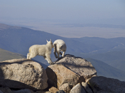 Mount Evans Recreation Area
