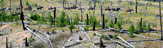 Yellowstone National Park