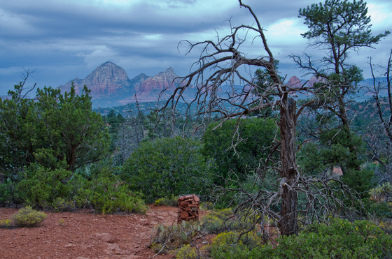 Coconino National Forest