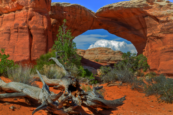 Arches National Park