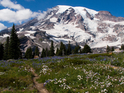 Mount Rainier National Park