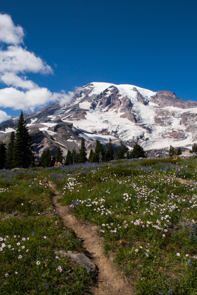 Mount Rainier National Park