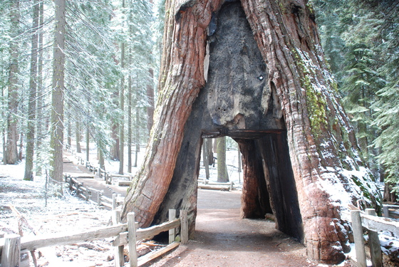 Yosemite National Park
