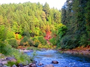 Umpqua River Oregon