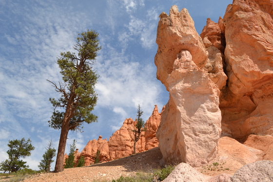Bryce Canyon National Park