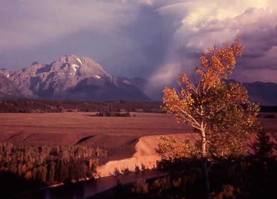 Grand Teton National Park