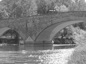 Black and White Landscape