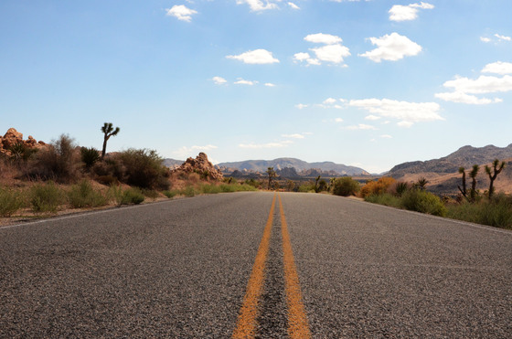Joshua Tree