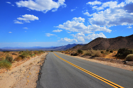 Joshua Tree