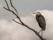 Kenilworth National Park