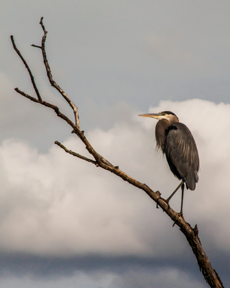 Kenilworth National Park