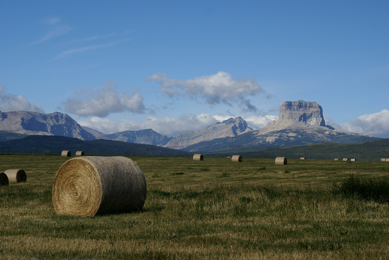 Glacier National Park
