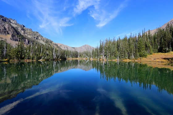 Olympic National Park