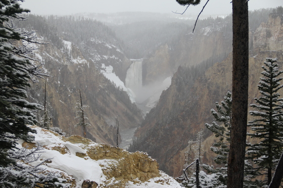 Yellwostone National Park