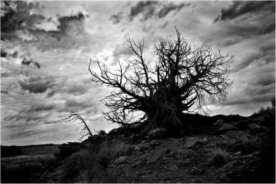 Arches NP