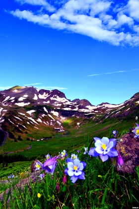 South San Juan Wilderness,Colorado