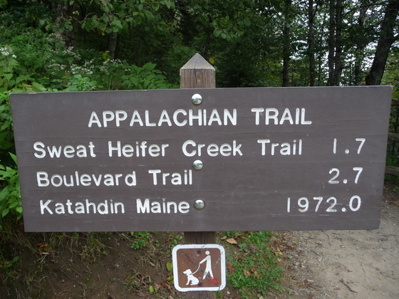 Great Smoky Mountains National Park