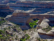 Natural Bridges National Monument