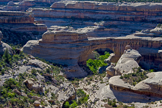 Natural Bridges National Monument