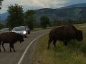 Grand Teton National Park