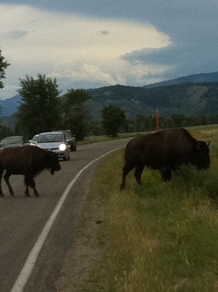 Grand Teton National Park