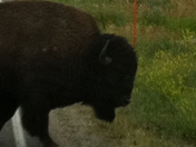 Grand Teton National Park