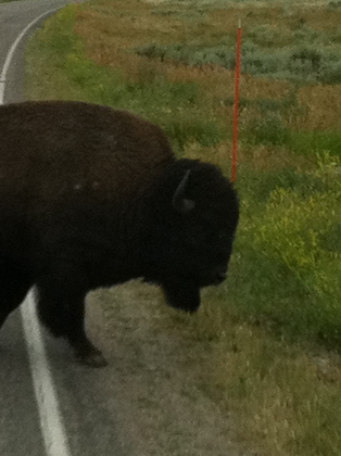 Grand Teton National Park