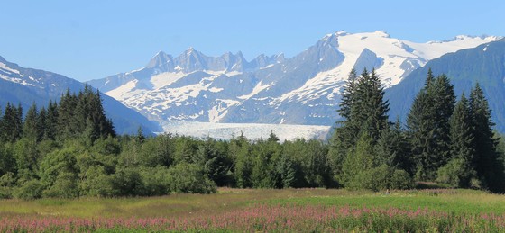 Tongass National Forest / Mendenhall Glacier