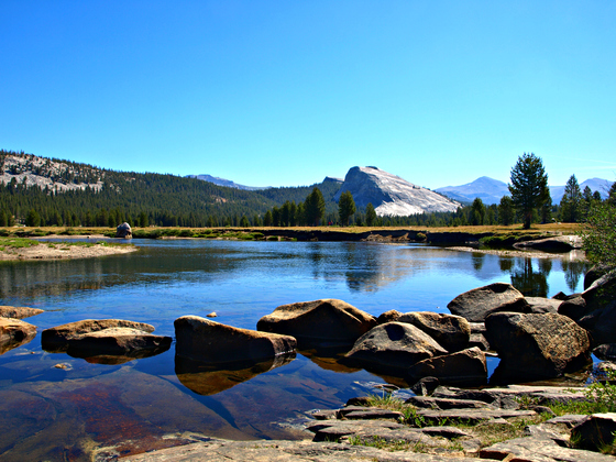 Yosemite National Park