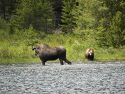 Glacier National Park, Montana