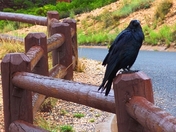 Bryce Canyon National Park