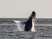 Acadia National Park