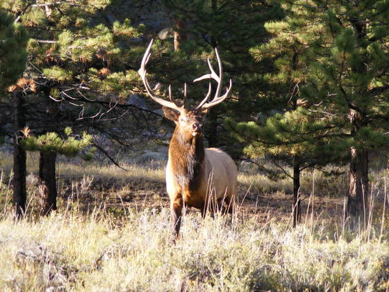 Rocky Mt National Park